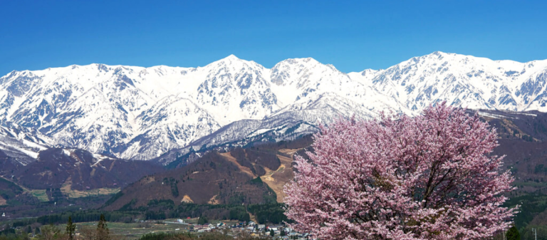 Why You Should Book a Spring Ski Trip to Hakuba