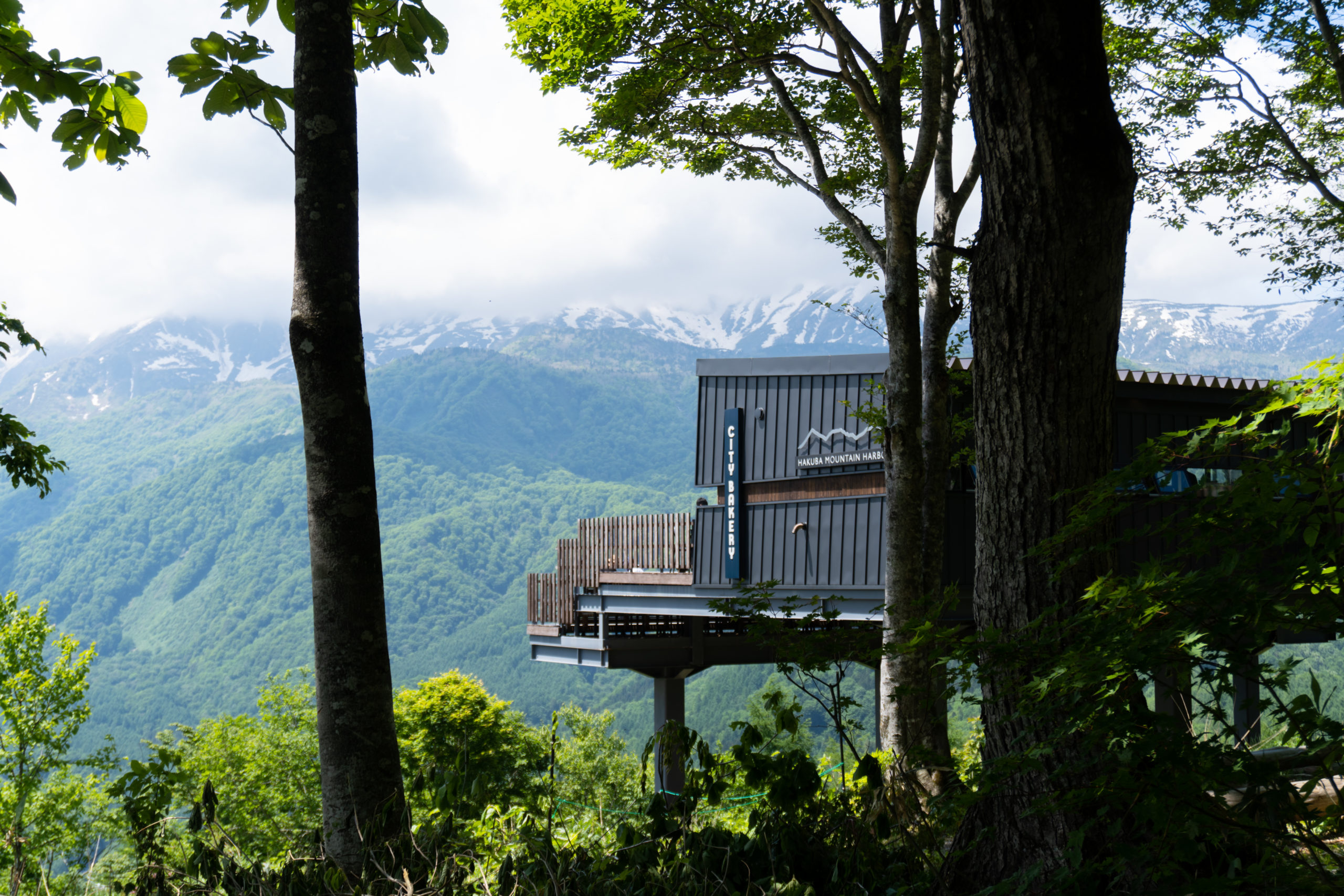 Iwatake summer - Hakuba Mountain Harbor