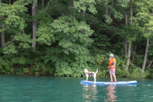Dog and owner on SUP at Lake Aoki