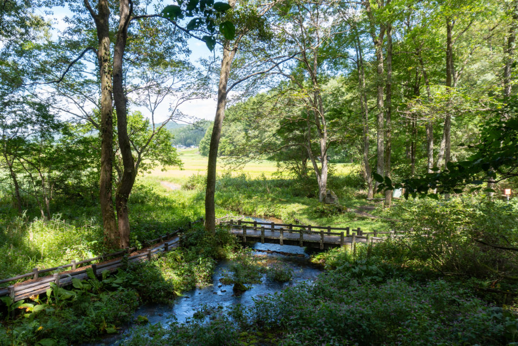 Himekawa Headwaters Nature Park - 姫川源流 (12 of 16)