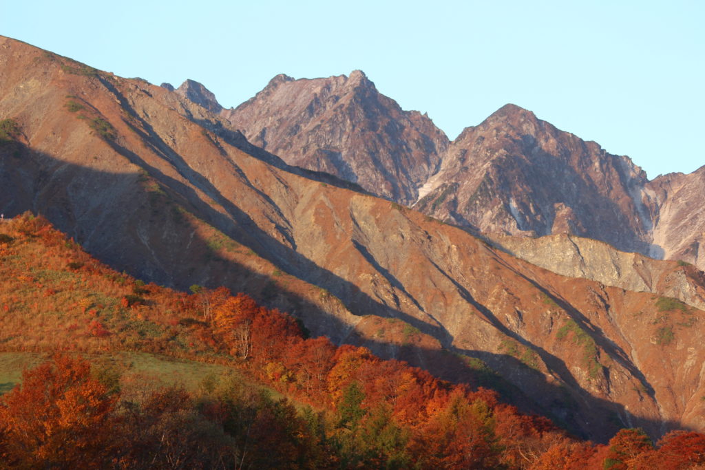 Autumn - Local Japanese Food in Hakuba (Photo Credit:白馬八方尾根)