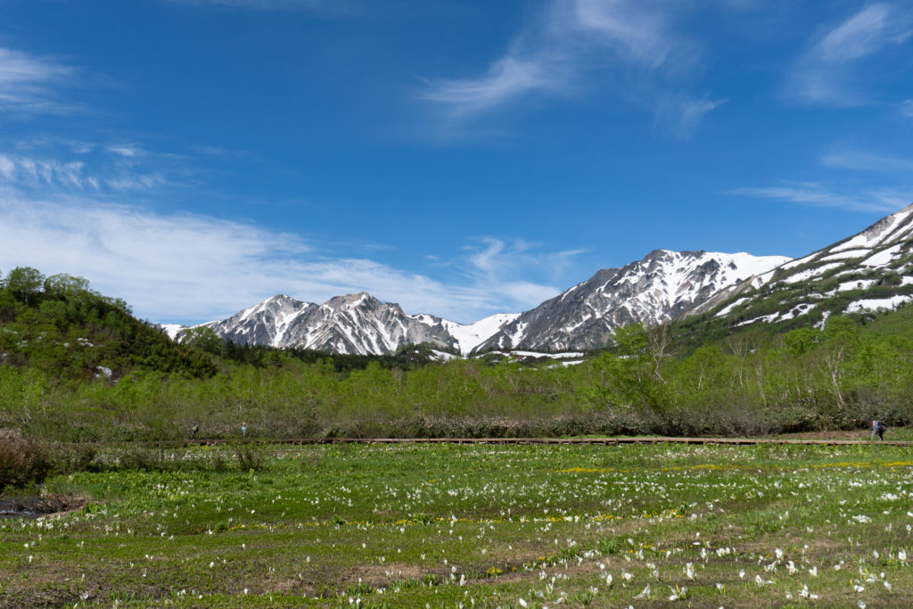 Tsugaike-Hiking-June-17th-16-