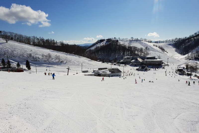 7 Best Family-Friendly Resorts - Where to Ski in Hakuba With Kids - Kashimayari