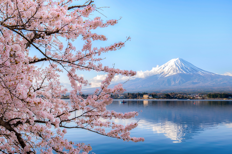 Best Things to Do in Japan - Nature & Scenic Spots