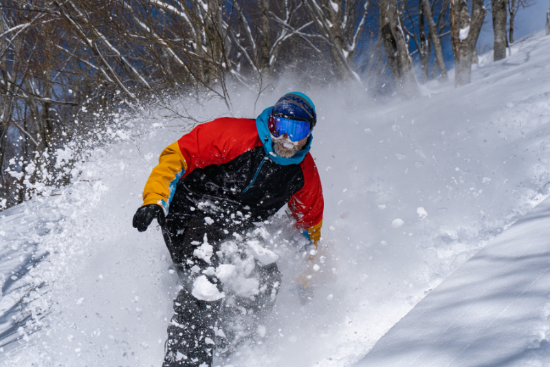 Ski Hakuba Powder - Cortina