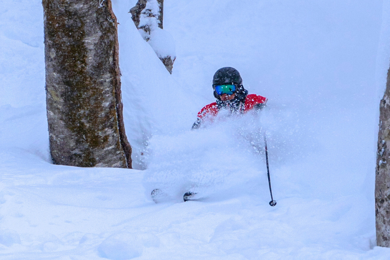 Ski Hakuba Powder - hakuba 47