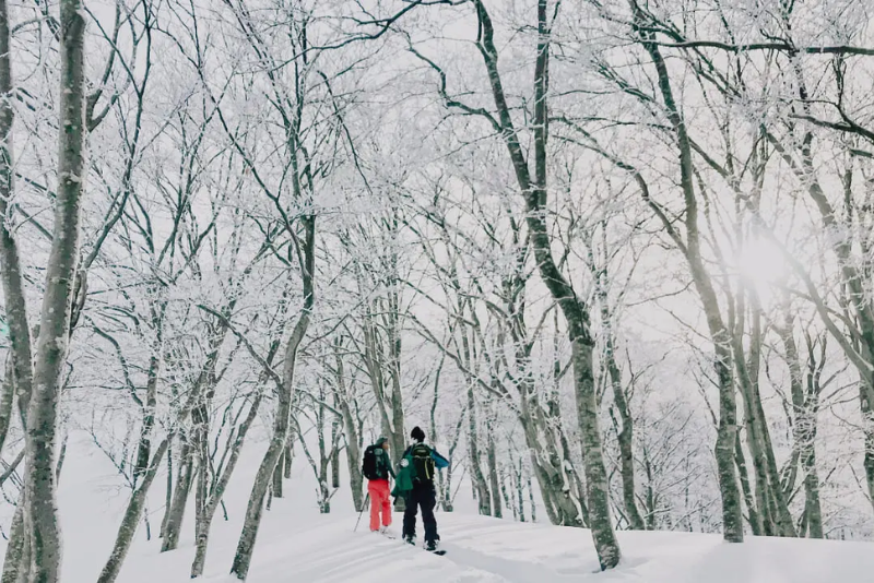 Best Snowshoe Tours in Hakuba - Experience Winter Beyond the Slopes - Woody Hakuba Snowshoe Tour